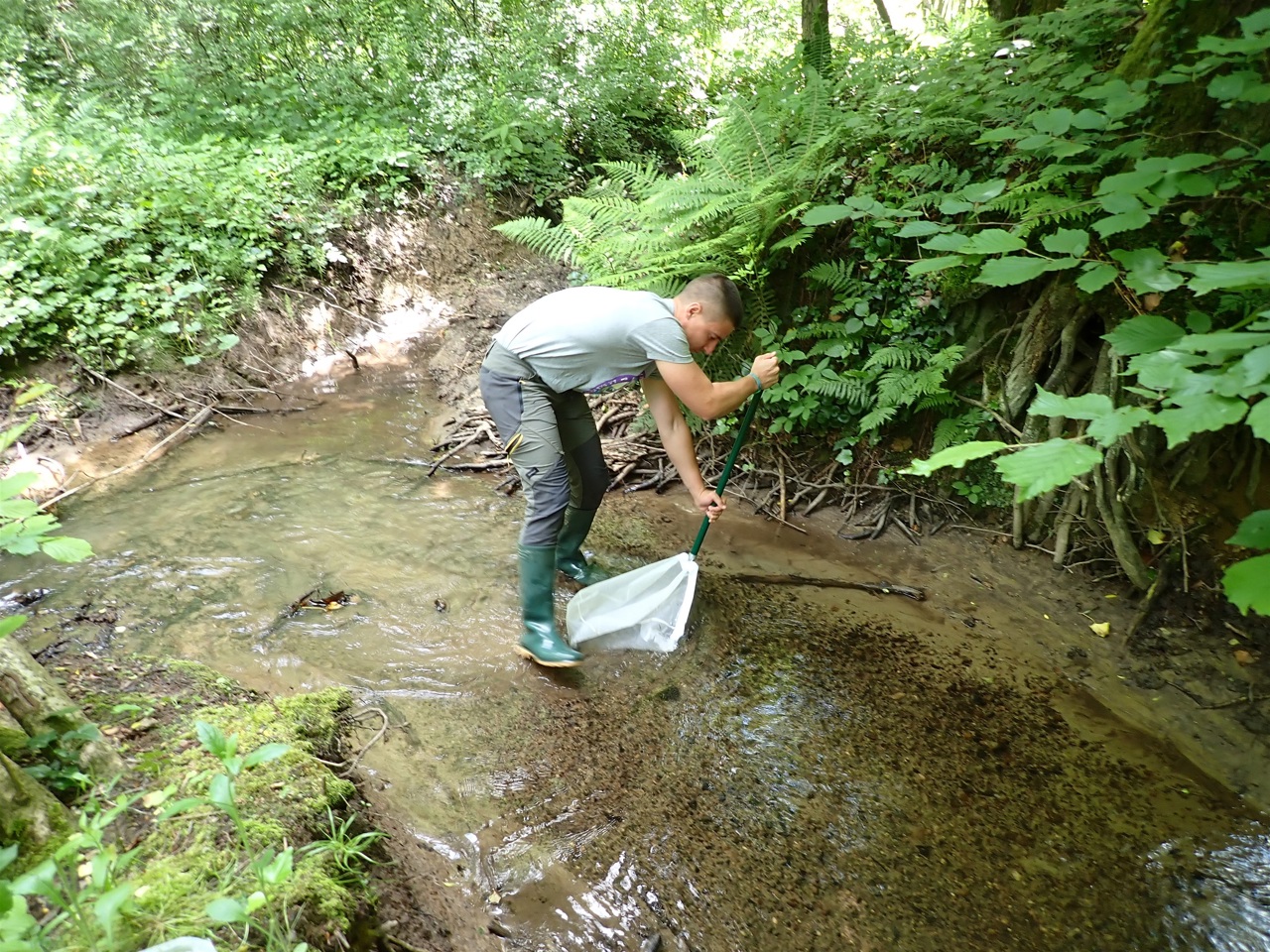 Analiza monitoringa vrsta u Krapinsko-zagorskoj županiji za 2025.: Predstavljeni ključni nalazi