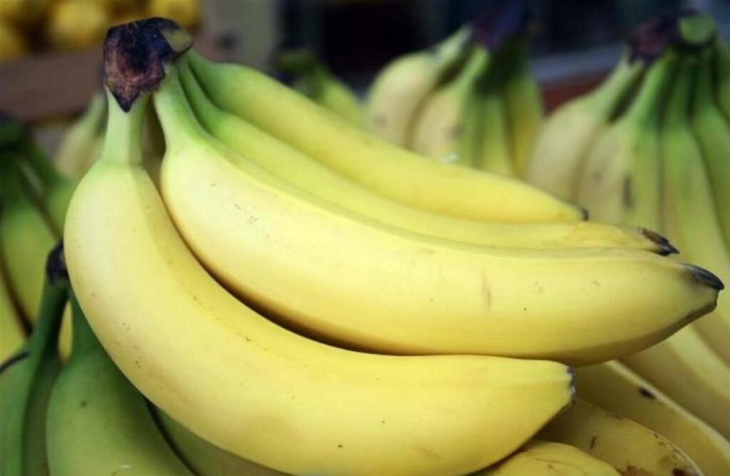 Često konzumiranje banana: Moguća opasnost za zdravlje unatoč općim vjerovanjima