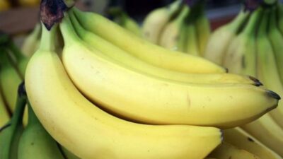 Često konzumiranje banana: Moguća opasnost za zdravlje unatoč općim vjerovanjima