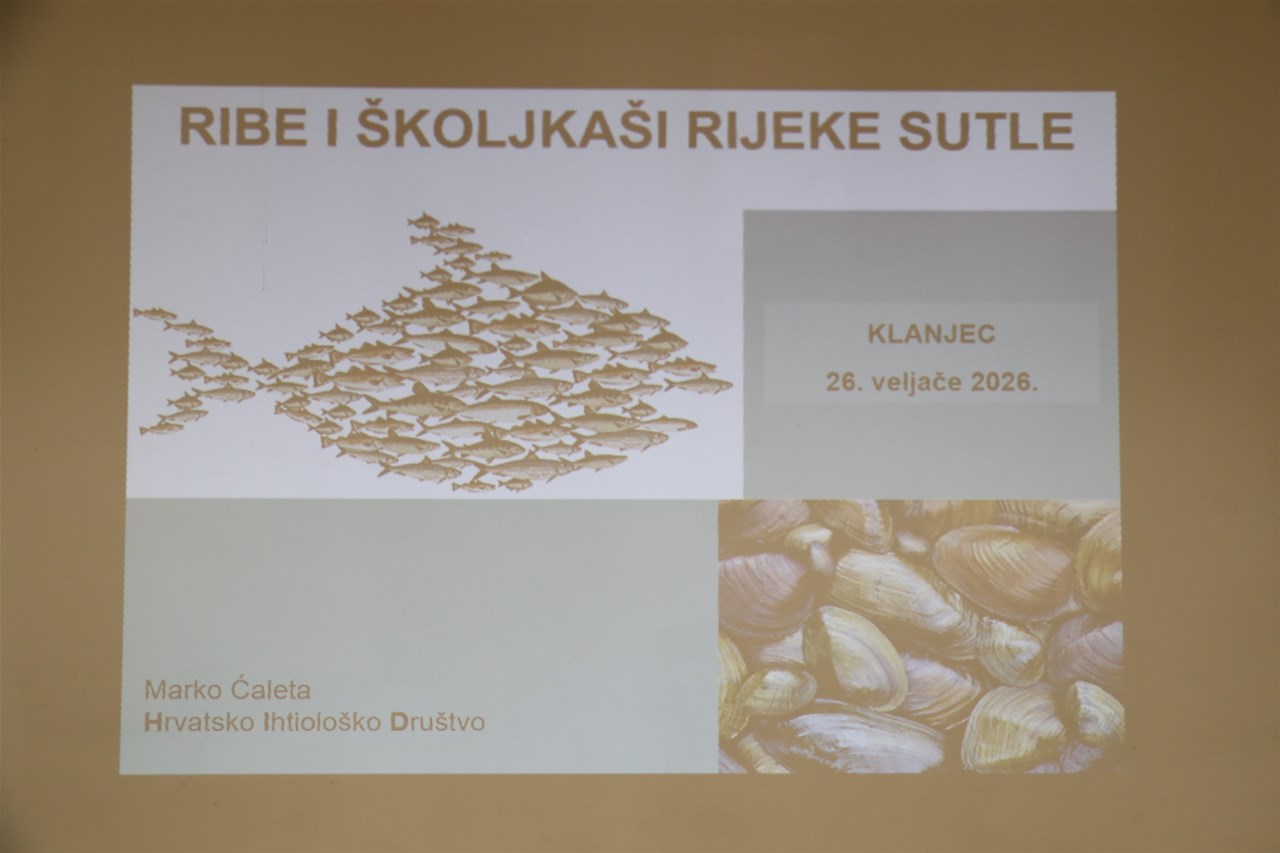 Detaljni uvidi u ekosustav rijeke Sutle: rezultati istraživanja riba i školjkaša