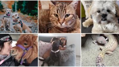 [FOTO] Više od 200 fotografija vaših ljubimaca uljepšalo nam je Svjetski dan ljubavi prema životinjama