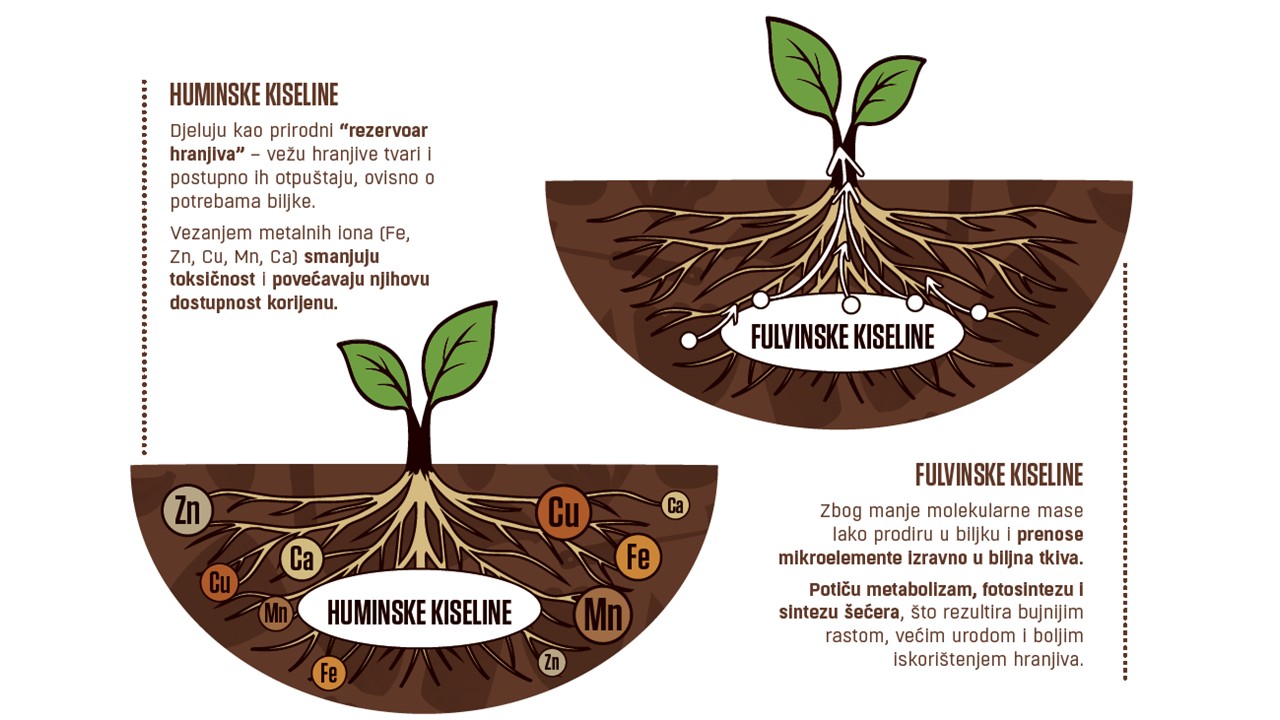Ključ zdravog uroda: Organska gnojidba voća i povrća – idealan trenutak je sada