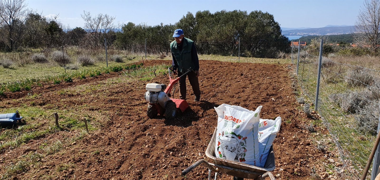 Ključ zdravog uroda: Organska gnojidba voća i povrća – idealan trenutak je sada