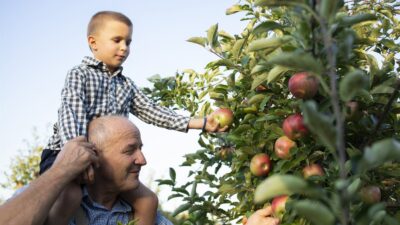 Ključ zdravog uroda: Organska gnojidba voća i povrća – idealan trenutak je sada