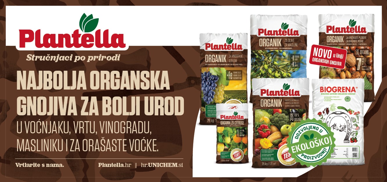 Ključ zdravog uroda: Organska gnojidba voća i povrća – idealan trenutak je sada