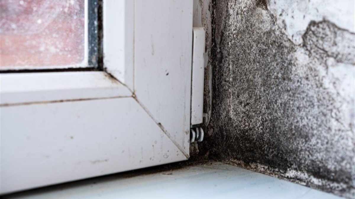 Kondenzacija na prozorima: prvi znak opasnosti koji vodi do plijesni i narušene mikroklime