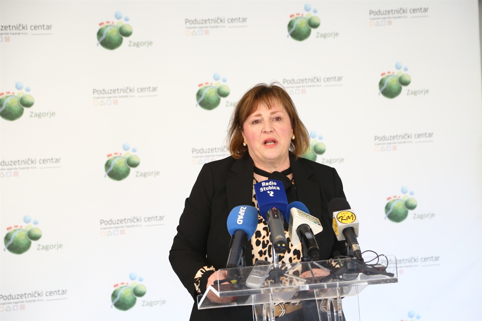 Krapinsko-zagorska županija na pragu rekordnih ulaganja u sektor obrazovanja: Predviđen rast od 78 posto!