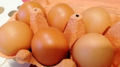 Manja jaja: Zašto su često bolji izbor od velikih, objašnjavaju stručnjaci