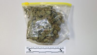 Mladić (22) poslao drogu taksijem, policija otkrila krijumčarenje