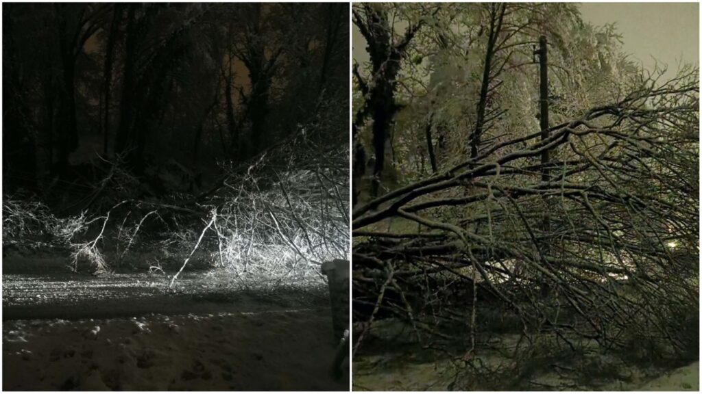 Nestanak struje i prepreka na cesti u Gornjoj Stubici: srušeno stablo uzrokovalo kaos