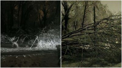 Nestanak struje i prepreka na cesti u Gornjoj Stubici: srušeno stablo uzrokovalo kaos