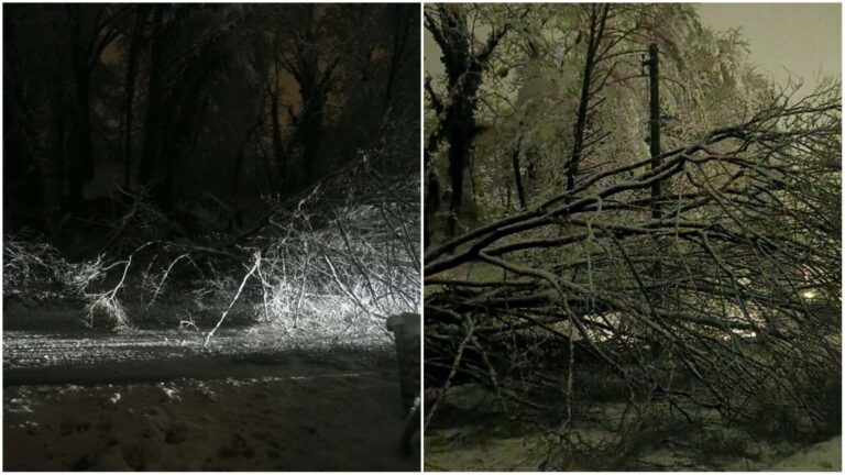 Nestanak struje i prepreka na cesti u Gornjoj Stubici: srušeno stablo uzrokovalo kaos