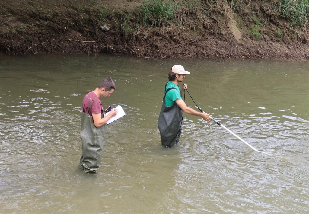 Novi podaci o ribama i školjkašima Sutle: Veliko bogatstvo unatoč invazivnim vrstama
