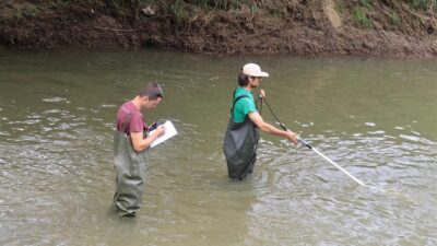 Novi podaci o ribama i školjkašima Sutle: Veliko bogatstvo unatoč invazivnim vrstama