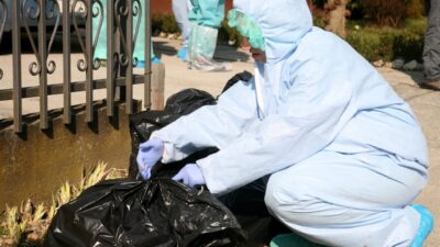 Novi slučajevi ptičje gripe H5N1: Labudovi ugibaju u Pisarovini