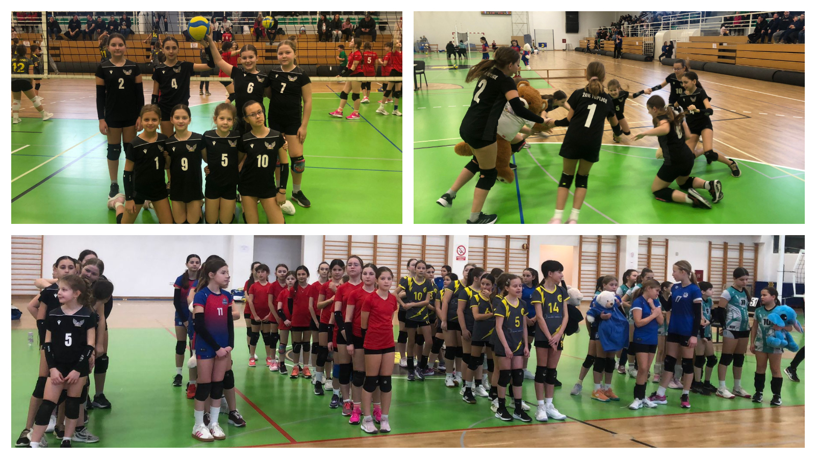 Odbojkašice Toplica 1 zaključile sezonu petim mjestom s jednom pobjedom