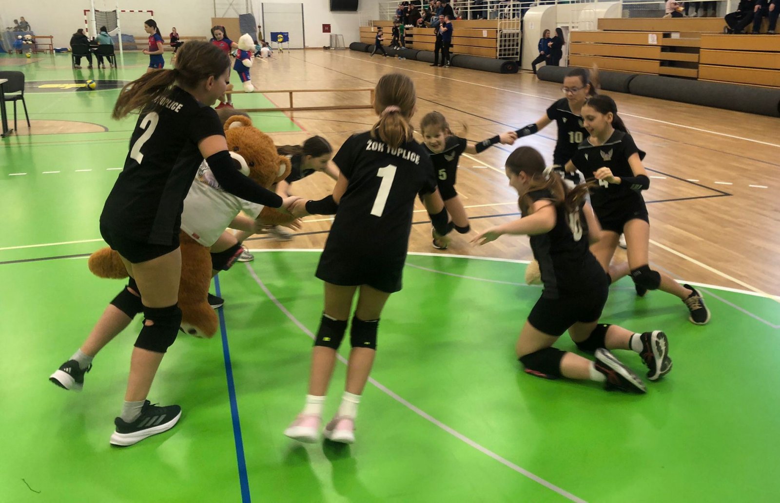Odbojkašice Toplica 1 zaključile sezonu petim mjestom s jednom pobjedom