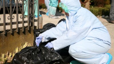 Potvrđena ptičja gripa kod labudova u Koprivničko-križevačkoj županiji