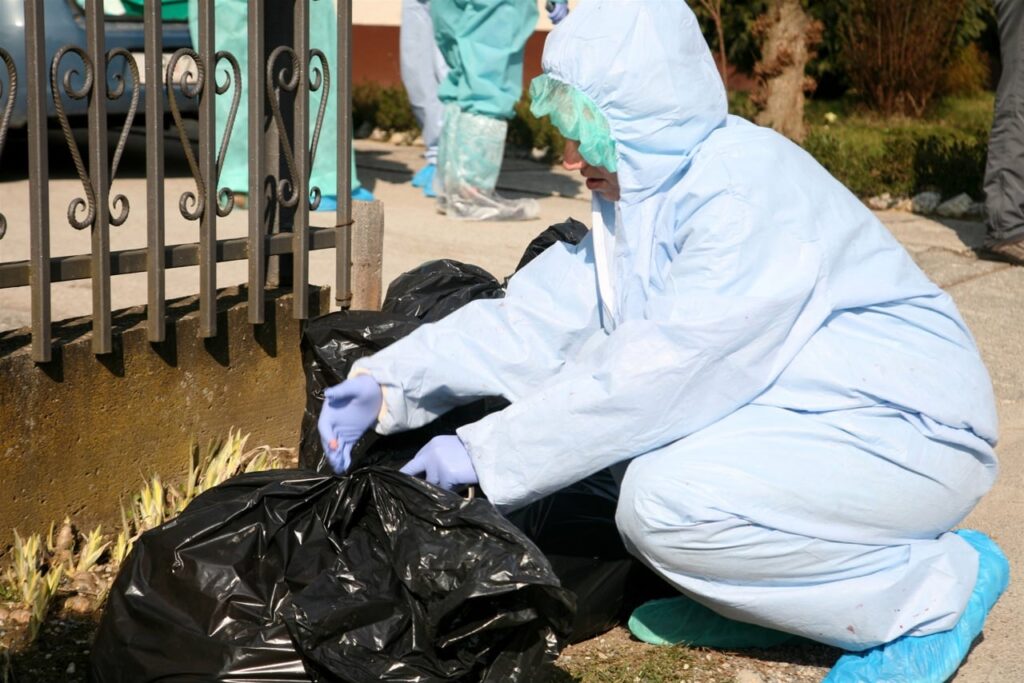 Ptičja gripa H5N1 ponovno potvrđena u Hrvatskoj: Pojačan oprez zbog širenja virusa