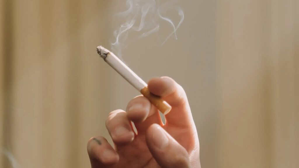 Rajčica: Neprocjenjiva namirnica za pušače, zdravlje srca i krvnih žila