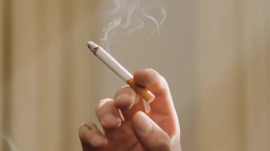 Rajčica: Supernamirnica za pušače, srce i krvne žile – riznica vitamina i minerala