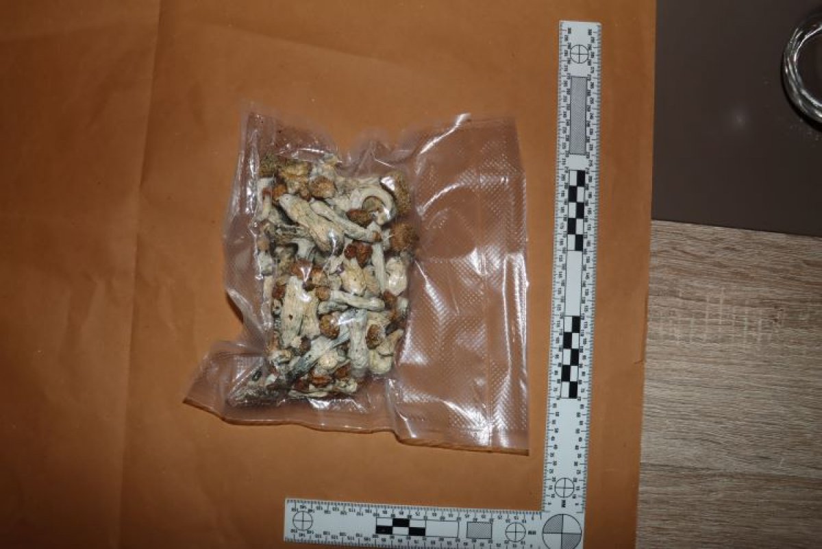 Razotkriven narkobaron: Uzgajao gljive, posjedovao LSD i meskalin u zagrebačkom stanu