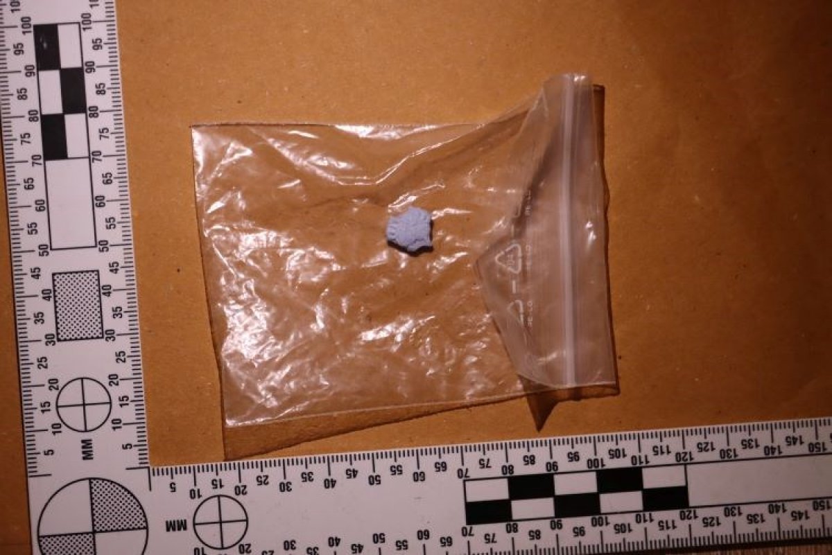 Razotkriven narkobaron: Uzgajao gljive, posjedovao LSD i meskalin u zagrebačkom stanu