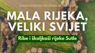 Rezultati studije o ekosustavu Sutle: Ribe i školjkaši pod povećalom