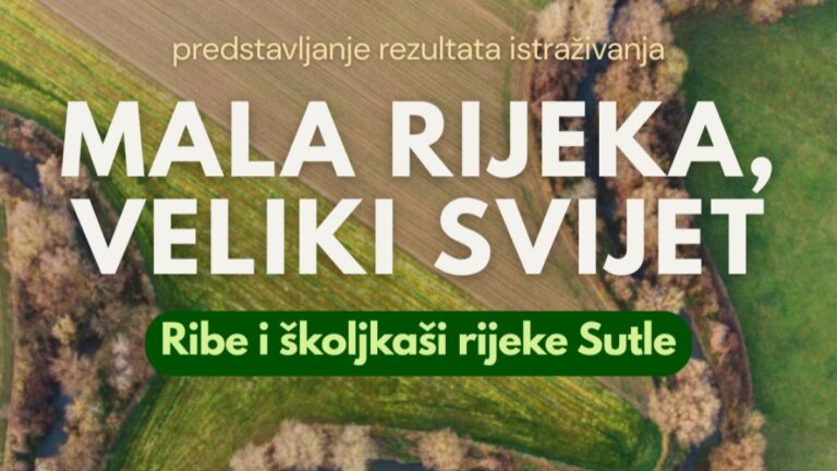 Rezultati studije o ekosustavu Sutle: Ribe i školjkaši pod povećalom