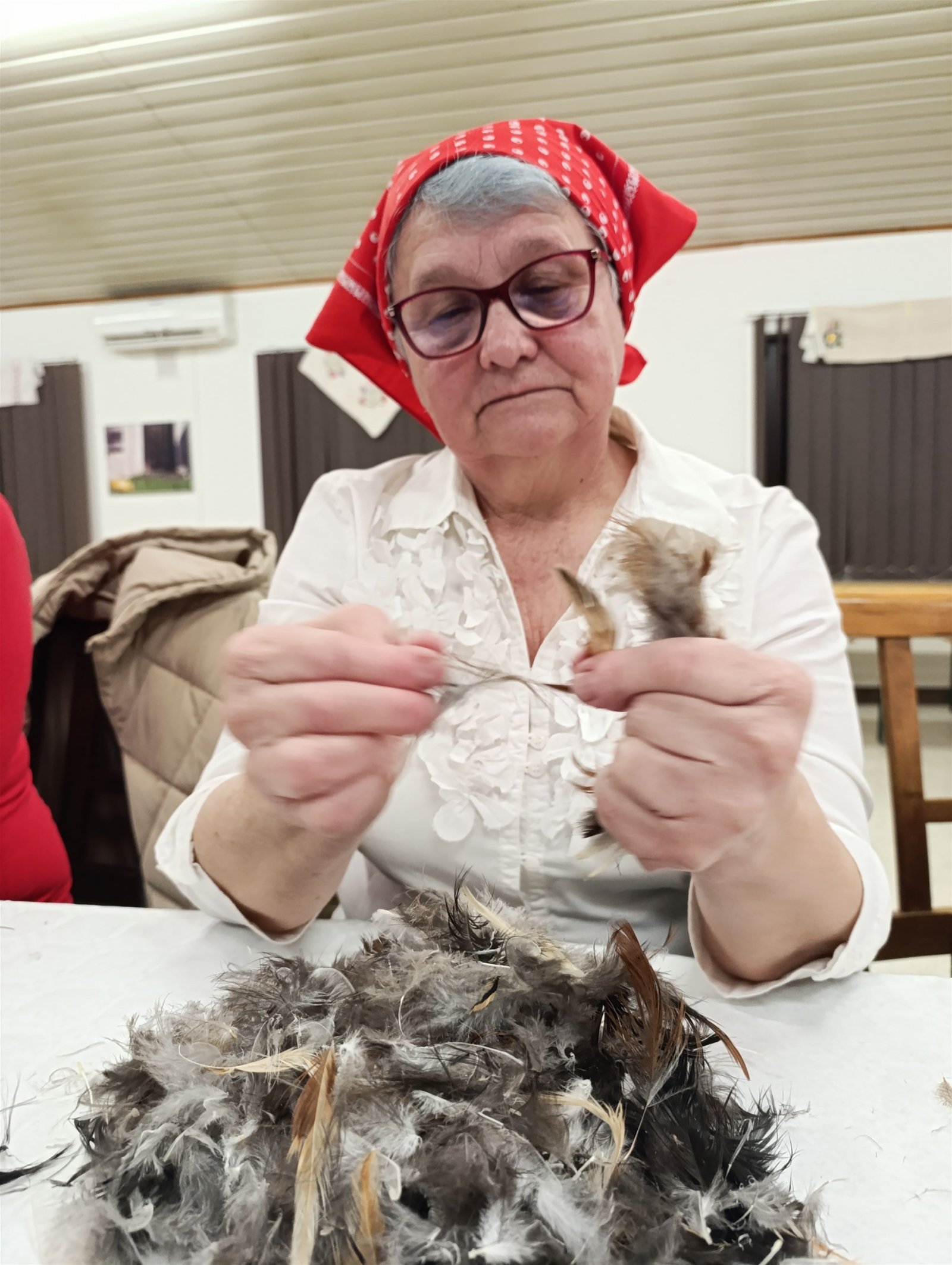 Tradicionalna "Perečeha" u Radoboju: Oživljavanje zagorske baštine uz druženje i pjesmu