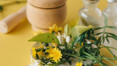 Tradicionalne metode u borbi protiv proljetnih alergija: Iskustva predaka