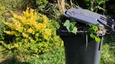 Trajno se riješite korova: Jedan jednostavan kuhinjski sastojak čini čuda na prilazima i stazama