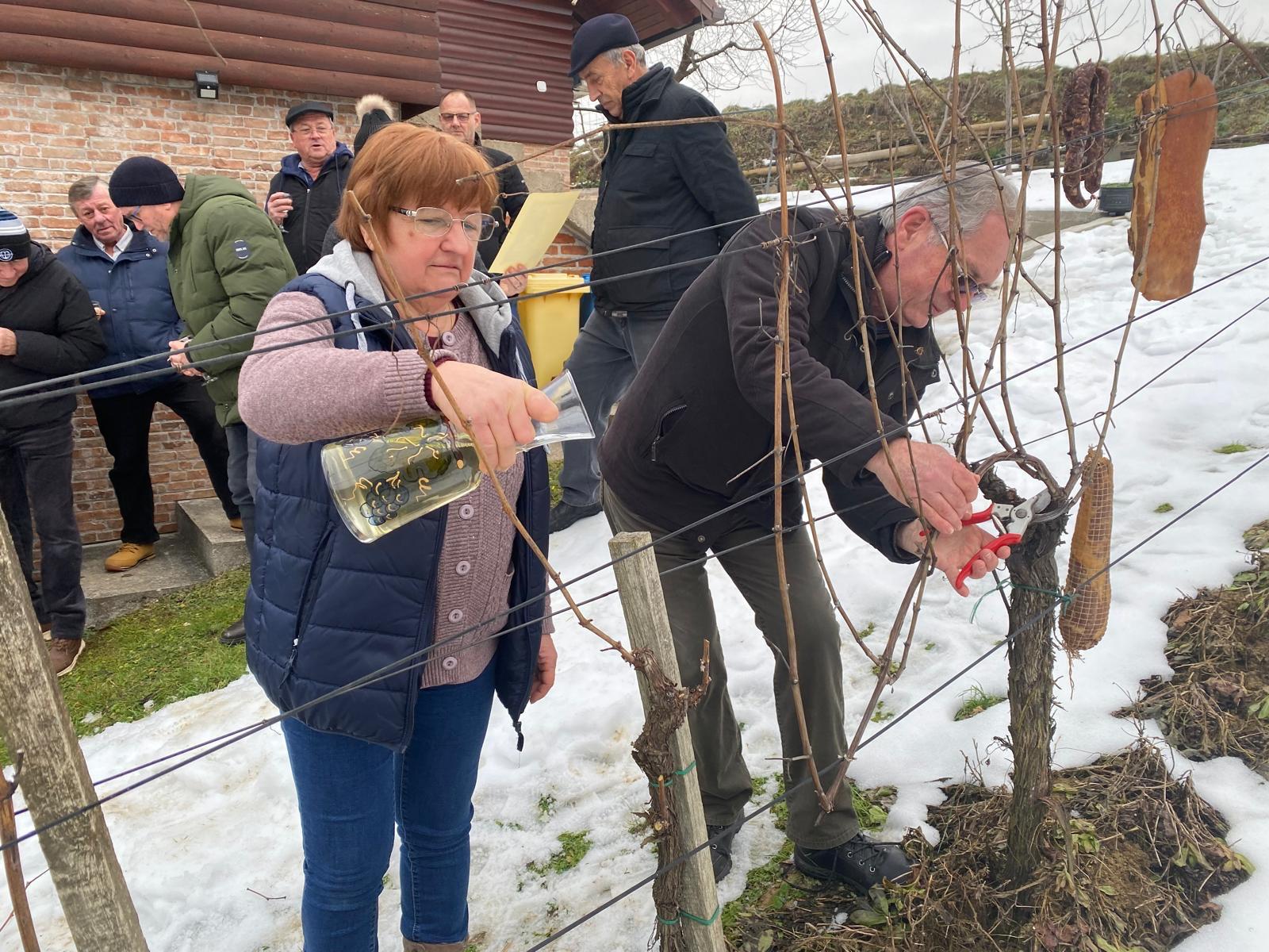 Vinogradarstvo u izazovima: Vincekovo kod Vragovićevih uz brigu za tradiciju i budućnost