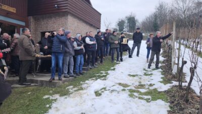 Vinogradarstvo u izazovima: Vincekovo kod Vragovićevih uz brigu za tradiciju i budućnost