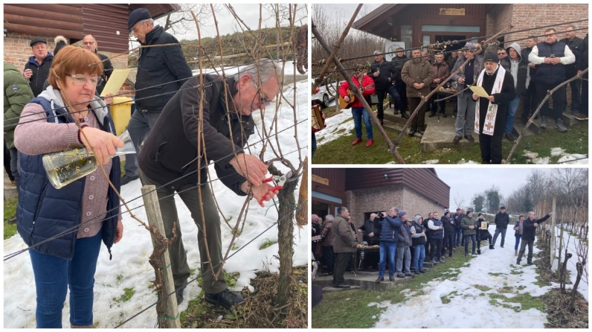 Vinogradarstvo u izazovima: Vincekovo kod Vragovićevih uz brigu za tradiciju i budućnost