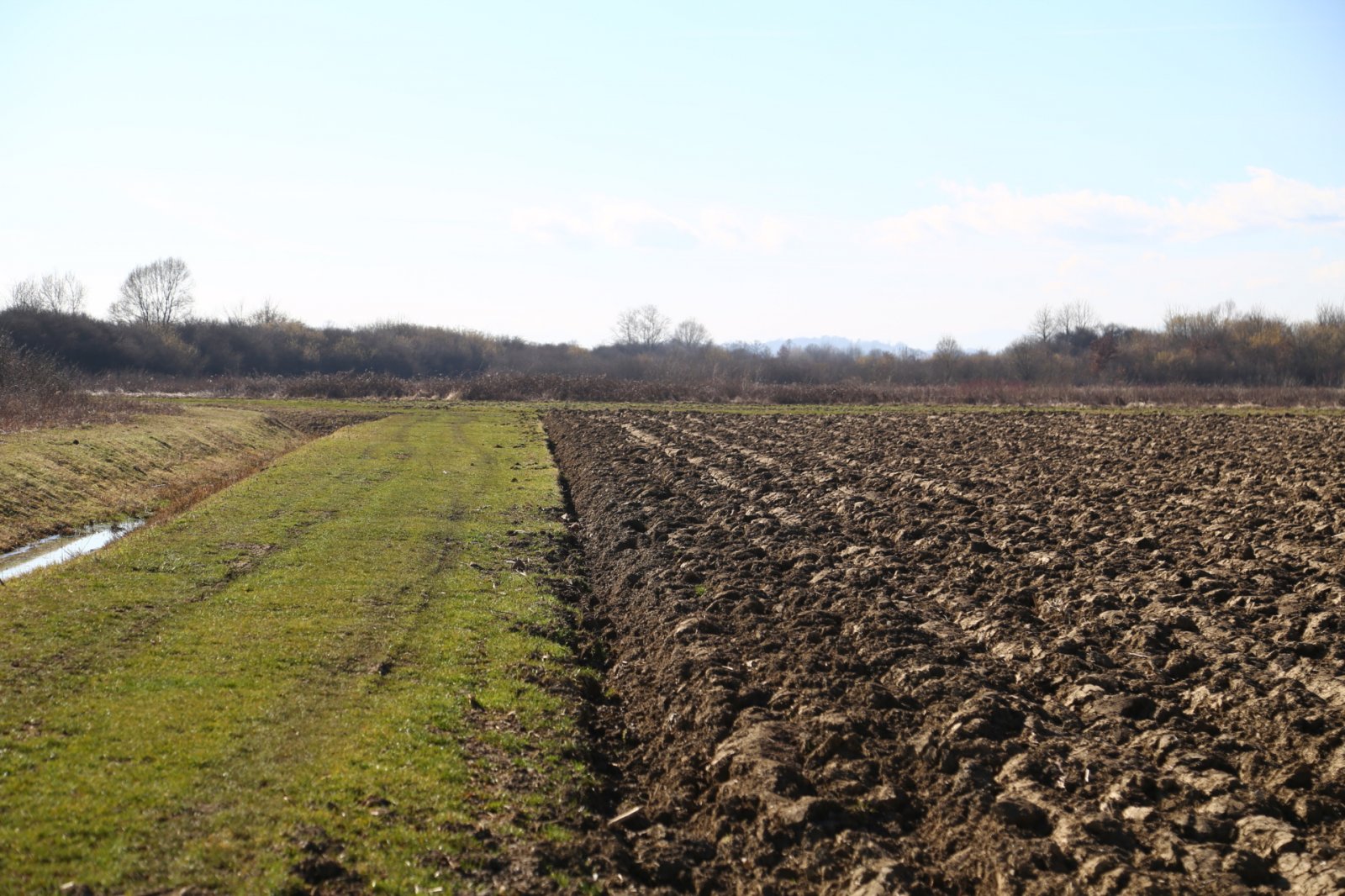 Vrančić optužuje SDP i Možemo za dvoličnost u "aferi solari": "Ignorirali su nas dok nije došlo do ovoga!"