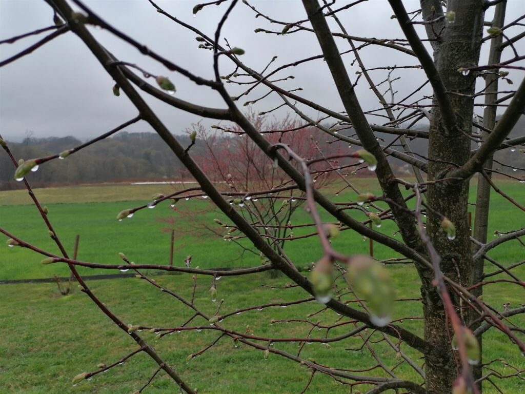 Vremenska prognoza: Očekuju se oborine i oblačno vrijeme