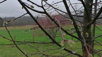 Vremenska prognoza: Očekuju se oborine i oblačno vrijeme