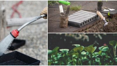 Vrtlarski imperativ: Povrće koje morate posijati odmah kako biste imali bogatu ljetnu žetvu