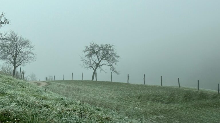 Zapadni vjetrovi donose značajnu promjenu vremena!