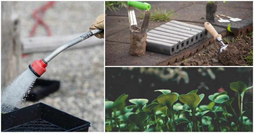 Započnite sjetvu ovih povrtnica odmah i uživajte u bogatoj žetvi tijekom ljeta