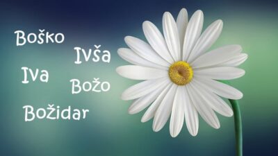 Imendani Ivše, Ive, Boška i Boške: Iva kao sveto drvo u slavenskoj tradiciji