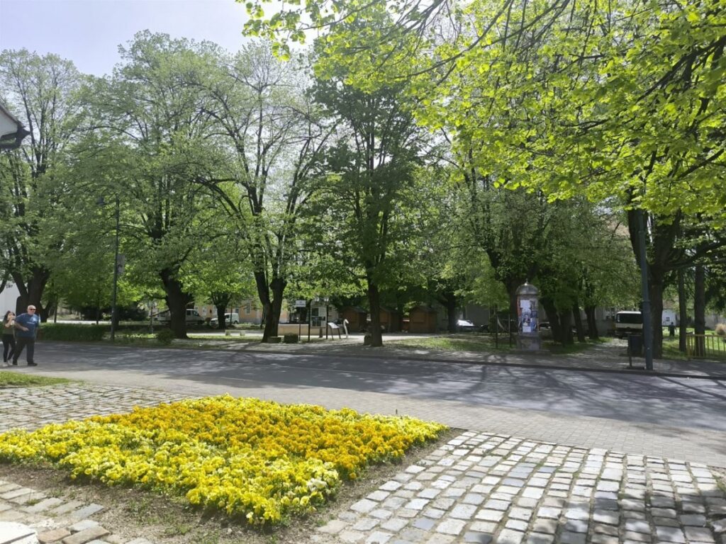 Ožujak pred vratima: Što nas čeka nakon slabljenja polarnog vrtloga?