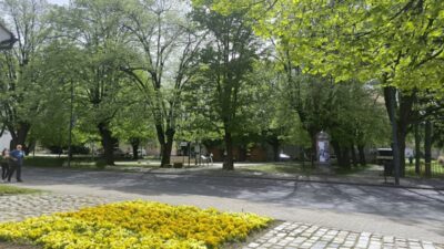 Ožujak pred vratima: Što nas čeka nakon slabljenja polarnog vrtloga?