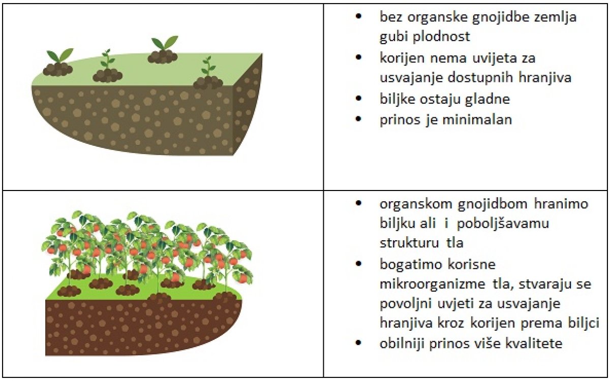 Plodno tlo – ključ za obilan i zdrav urod u vrtu