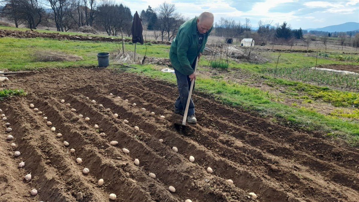 Plodno tlo – ključ za obilan i zdrav urod u vrtu
