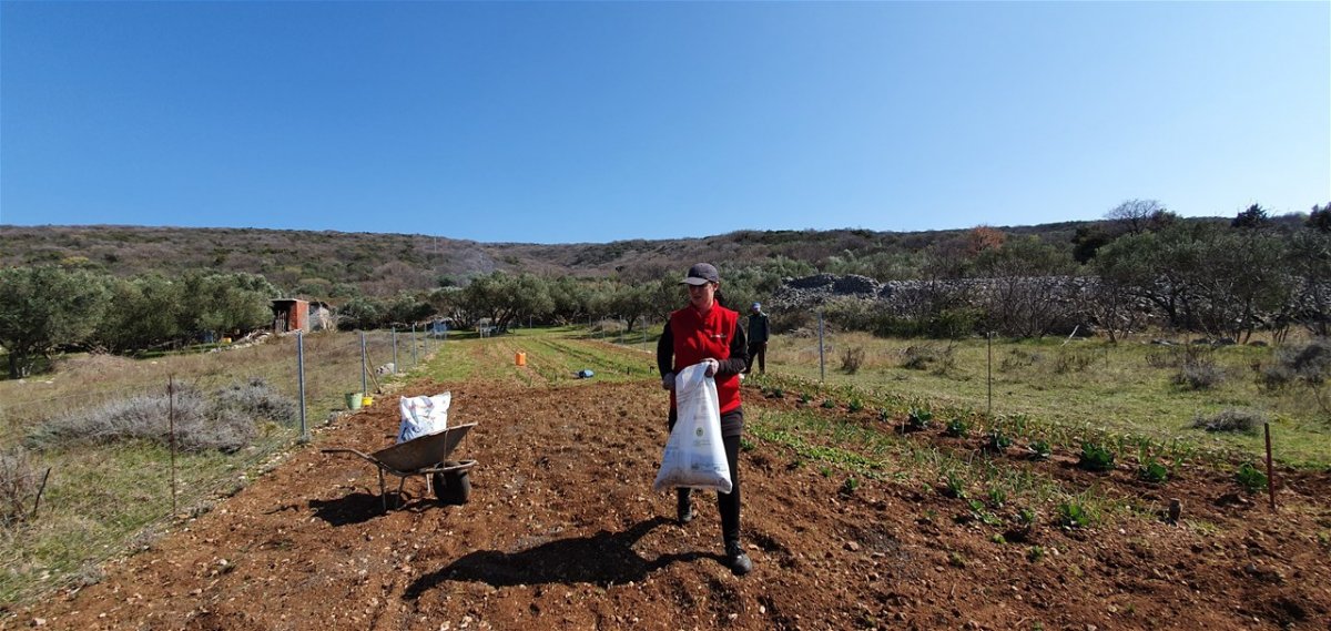 Plodno tlo – ključ za obilan i zdrav urod u vrtu
