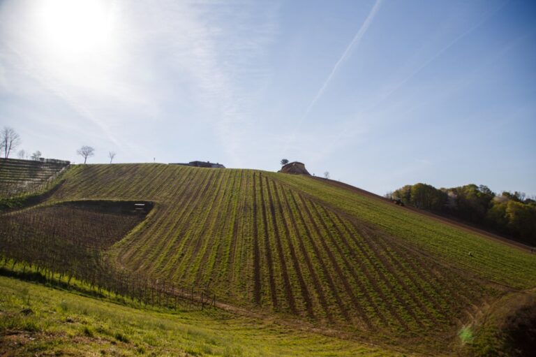 Vremenska prognoza: Oblačno, uz mogućnost kiše danas, a sunčano uz pljuskove sutra