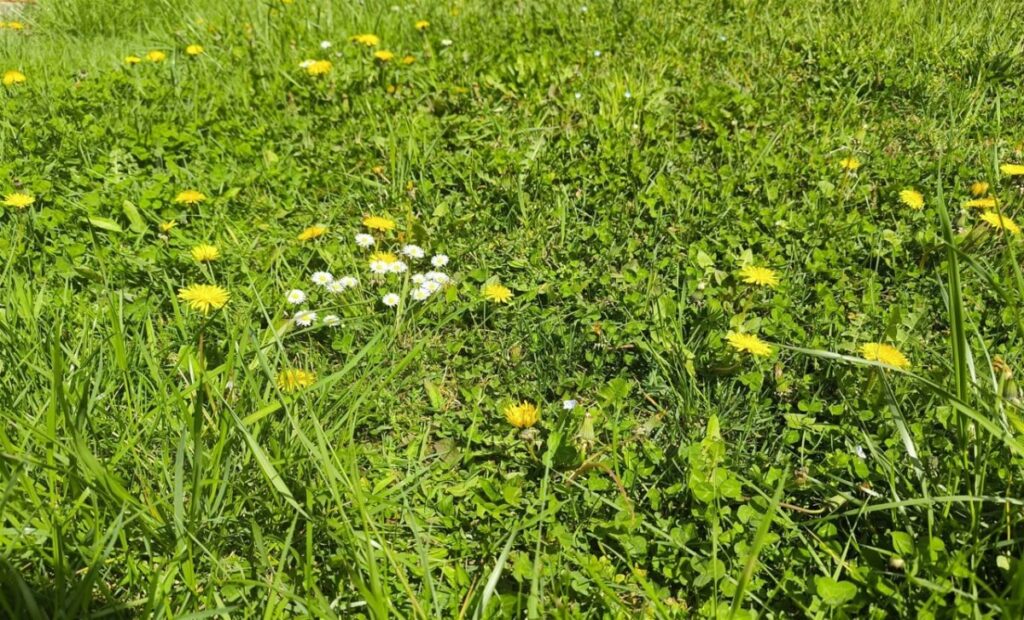 Vremenska prognoza: Sunčano i toplo, uz blagu promjenu sutra