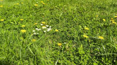 Vremenska prognoza: Sunčano i toplo, uz blagu promjenu sutra